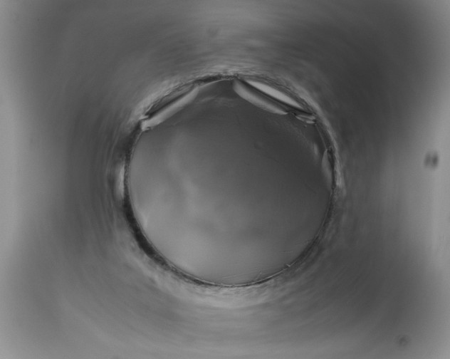 X0000113600019200910021751