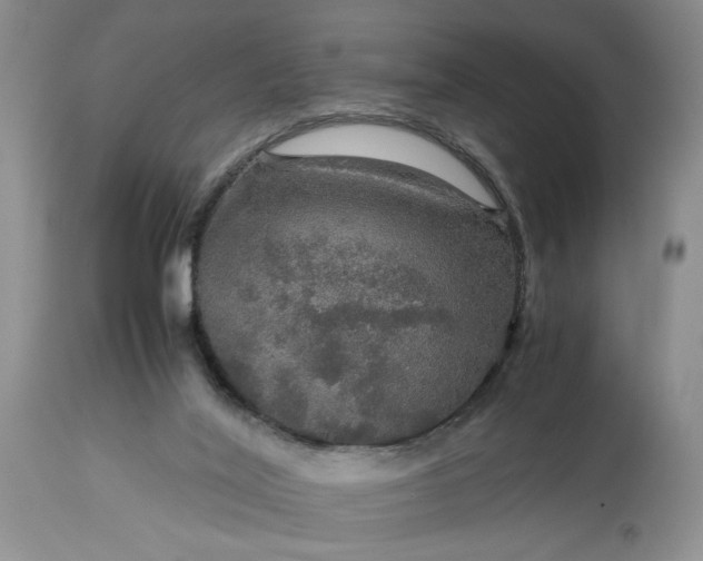 X0000113600020200910021751