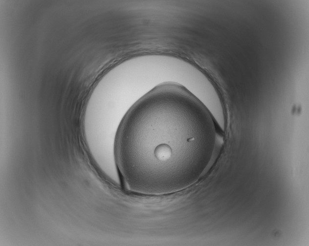 X0000113600021200910021751