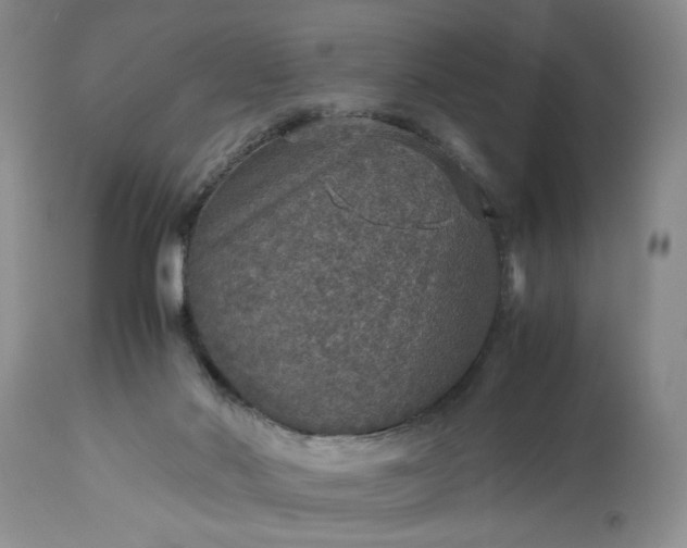 X0000113600022200910021751