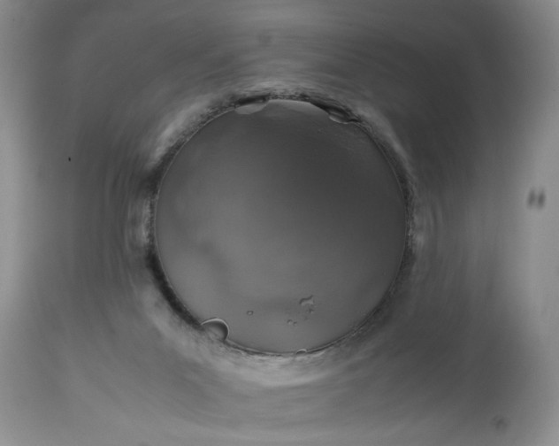 X0000113600023200910021751