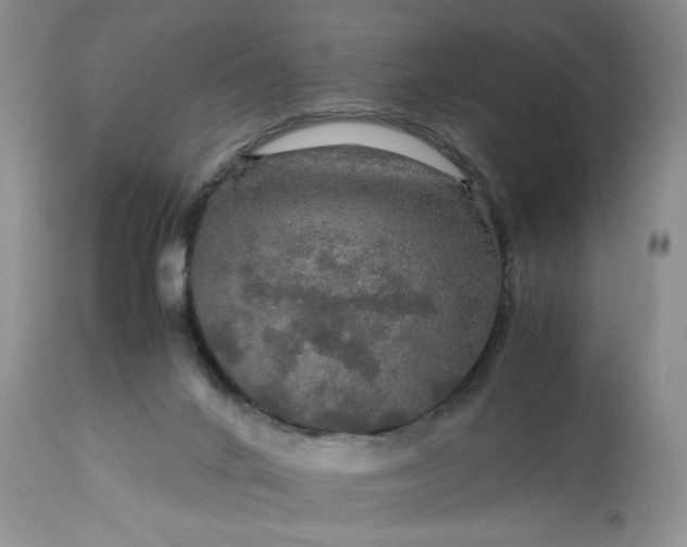 X0000113600024200910021751