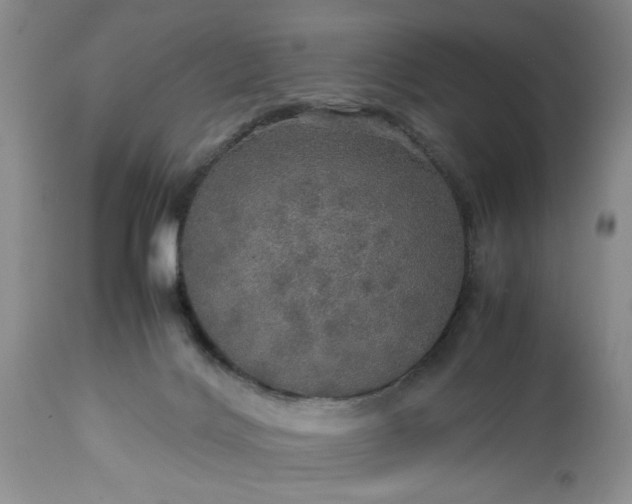 X0000113600028200910021751