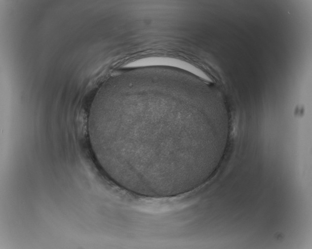 X0000113600029200910021751