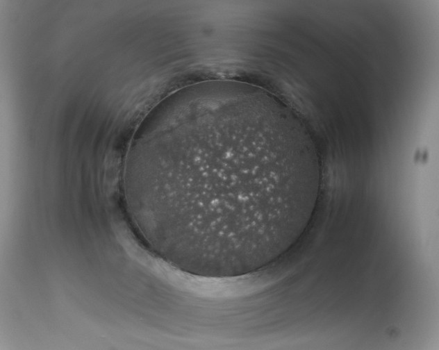 X0000113600030200910021751