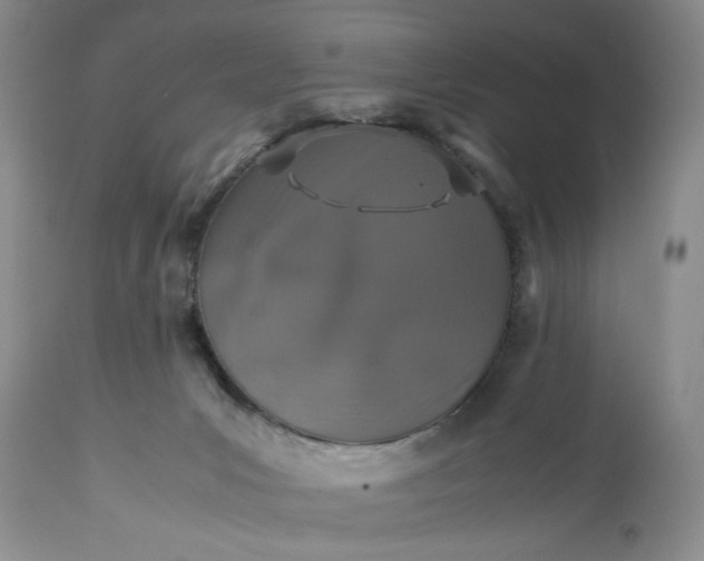 X0000113600031200910021751