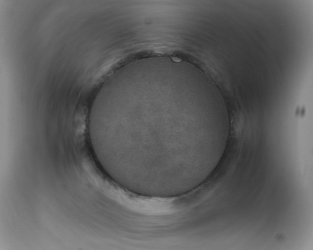 X0000113600032200910021751