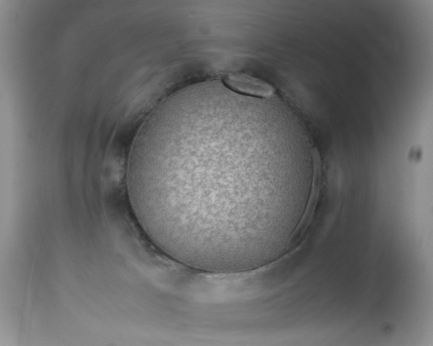 X0000113600033200910021751