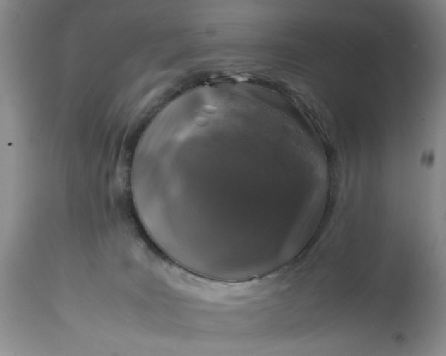 X0000113600035200910021751