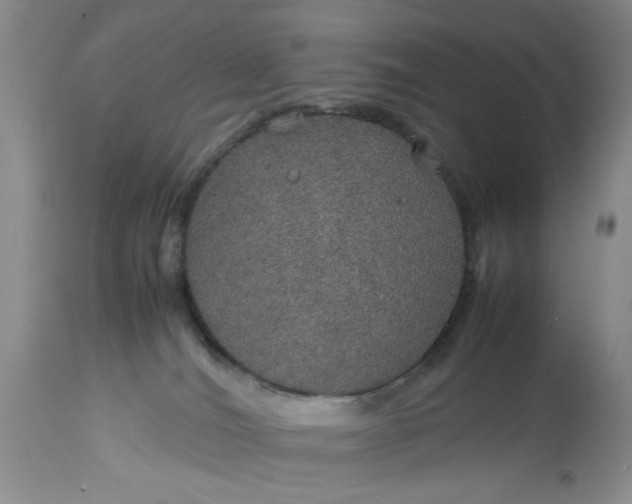 X0000113600036200910021751