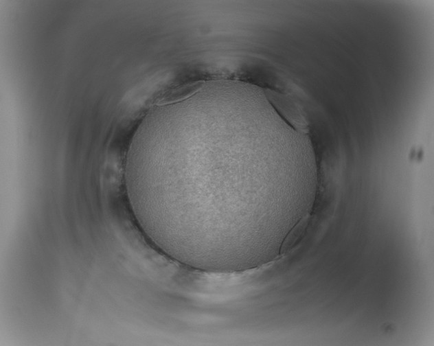 X0000113600037200910021751