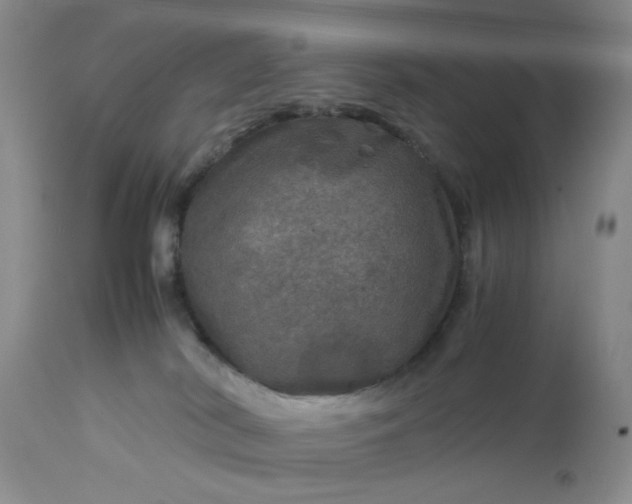 X0000113600038200910021751