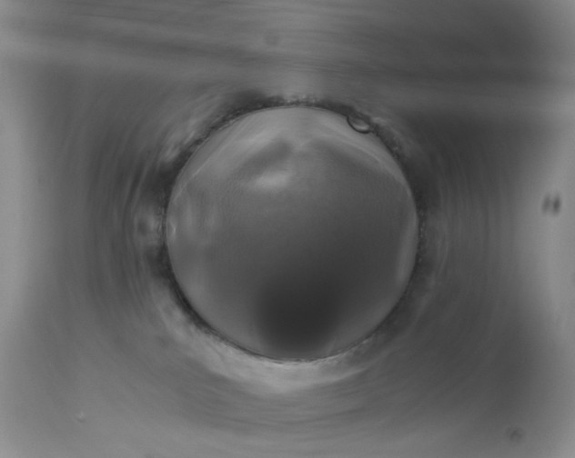 X0000113600039200910021751