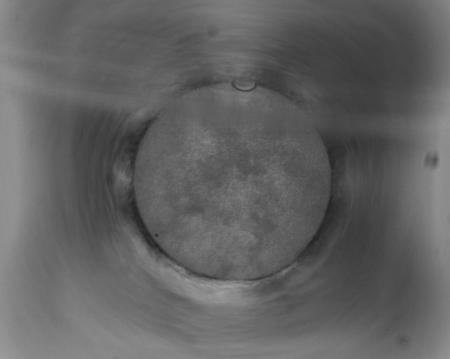 X0000113600040200910021751