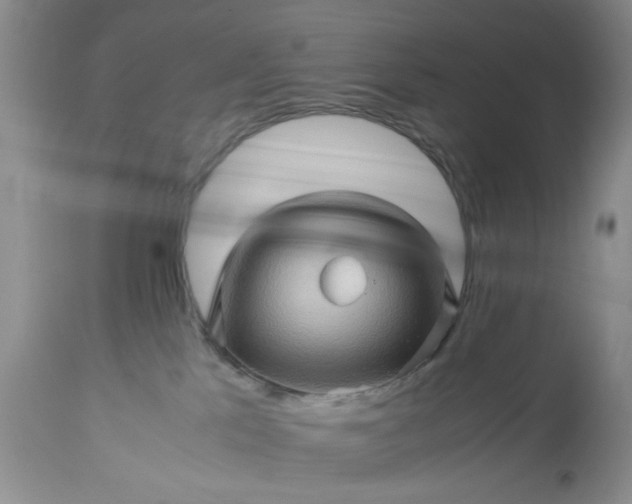 X0000113600041200910021751