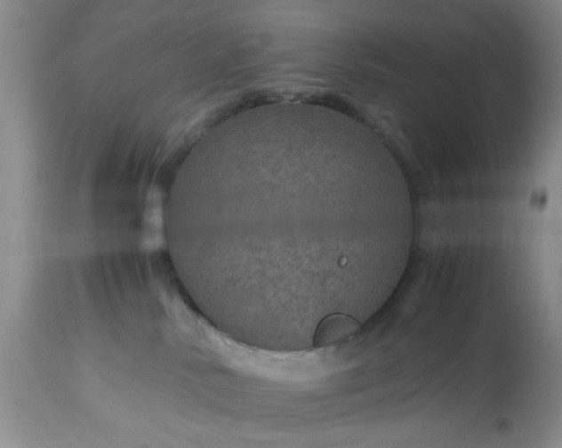 X0000113600042200910021751