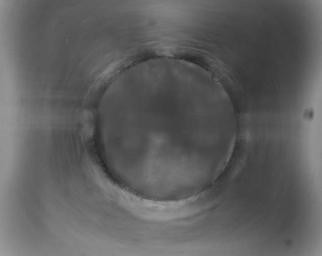 X0000113600043200910021751