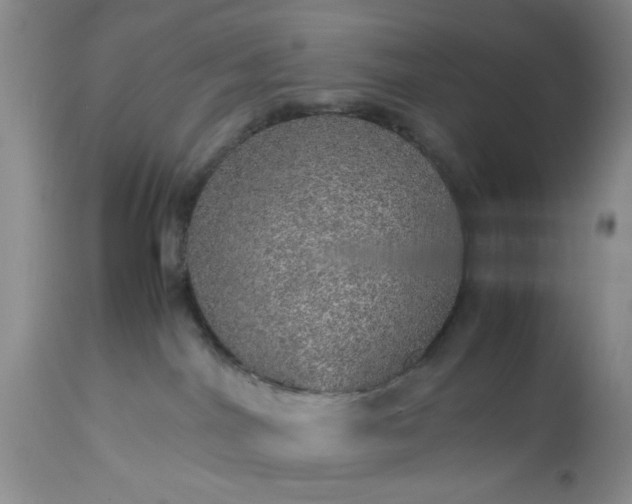 X0000113600044200910021751