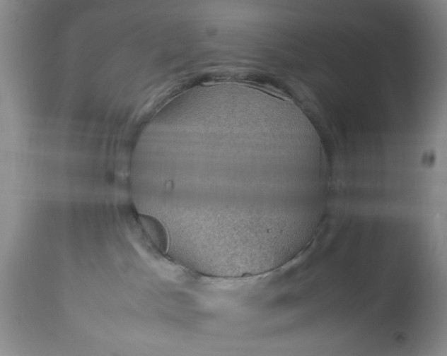 X0000113600045200910021751