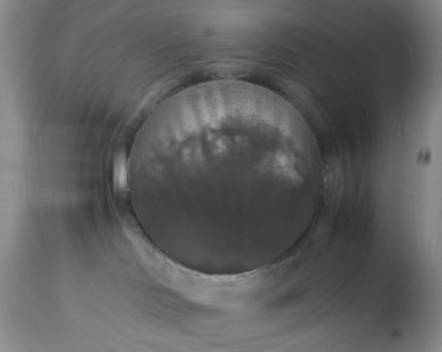 X0000113600046200910021751