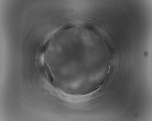 X0000113600047200910021751