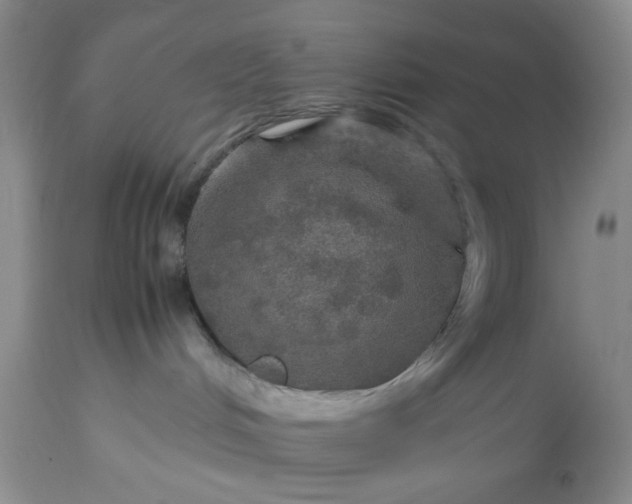 X0000113600048200910021751