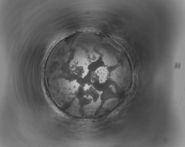 X0000113600049200910021750