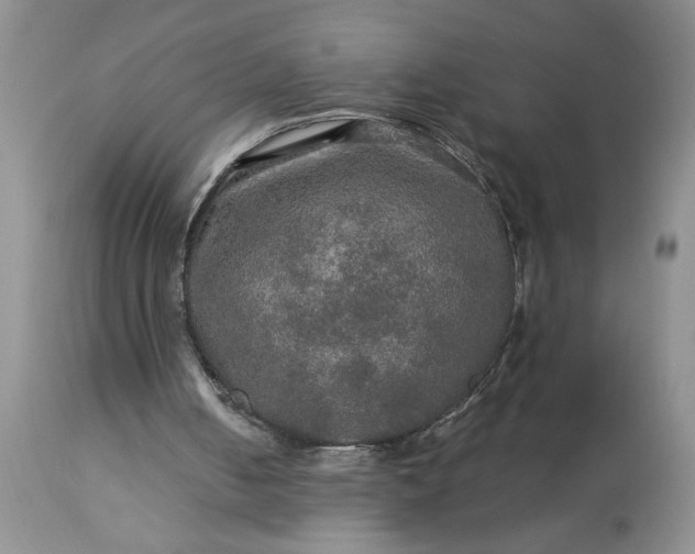 X0000113600050200910021750