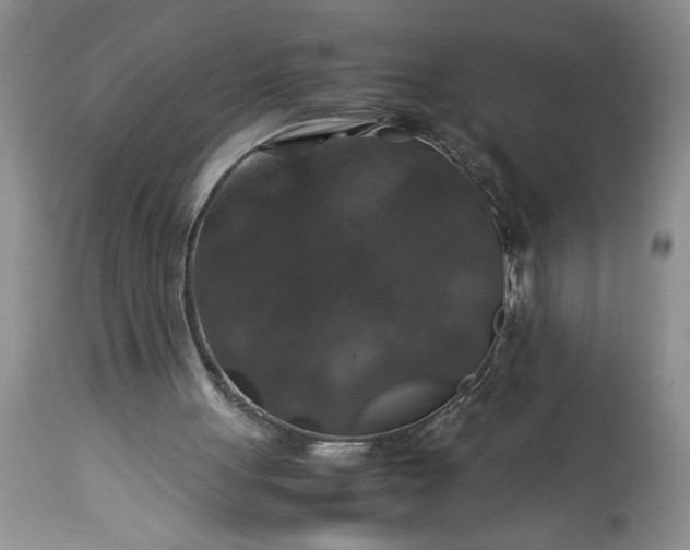 X0000113600051200910021750