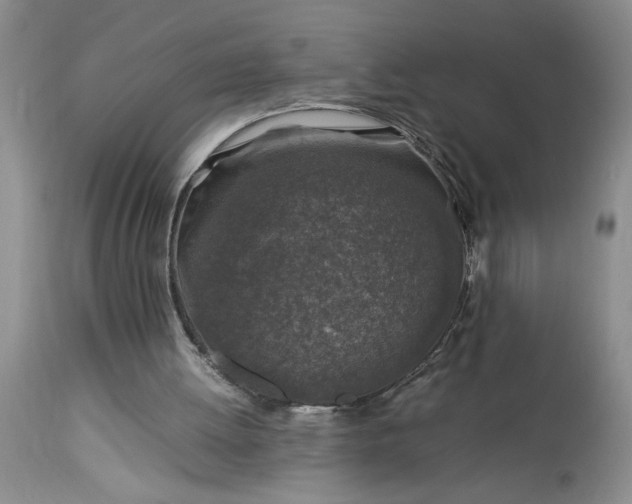 X0000113600052200910021750