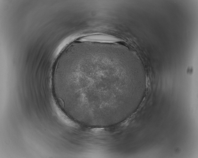 X0000113600054200910021750