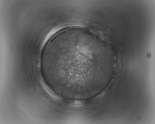 X0000113600056200910021750