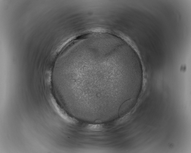 X0000113600057200910021750