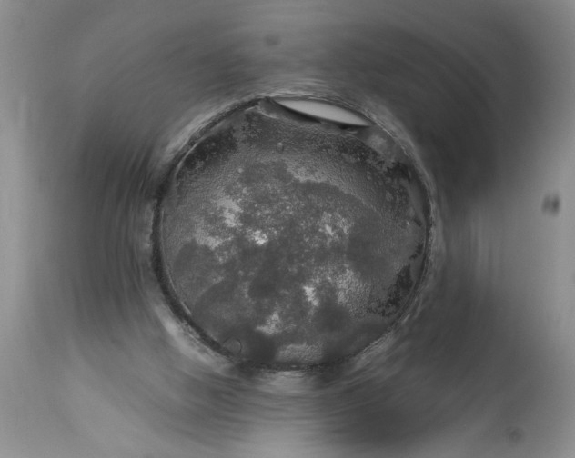 X0000113600058200910021750