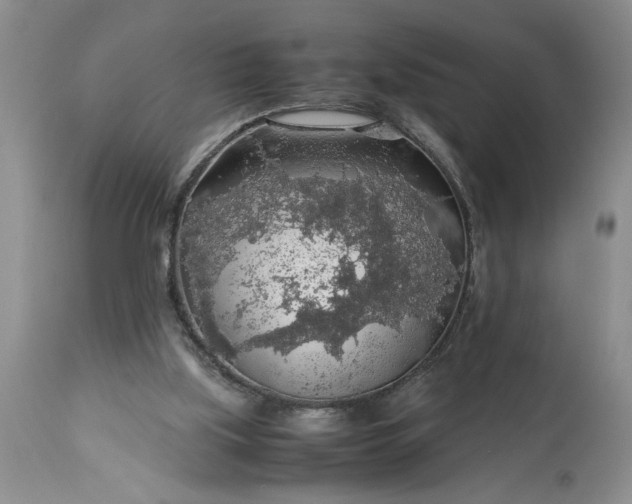 X0000113600059200910021750