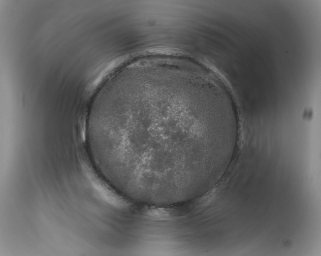 X0000113600062200910021750