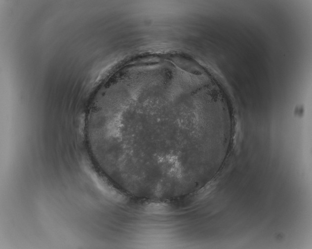 X0000113600066200910021750