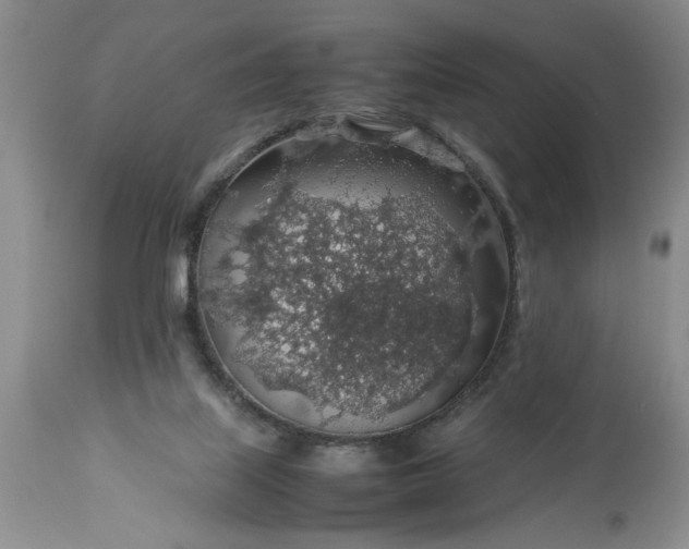 X0000113600067200910021750