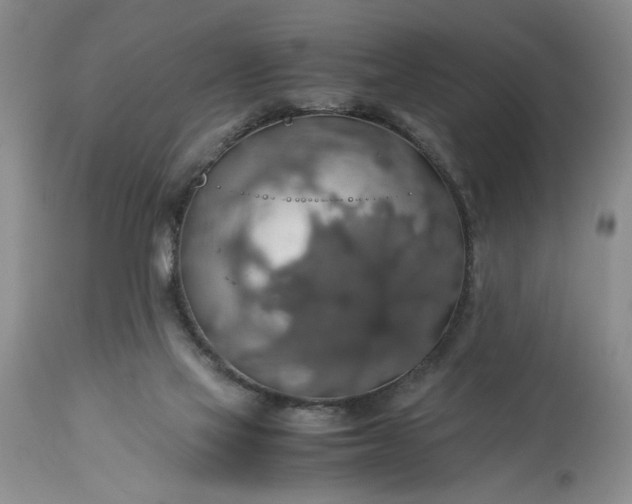 X0000113600069200910021750