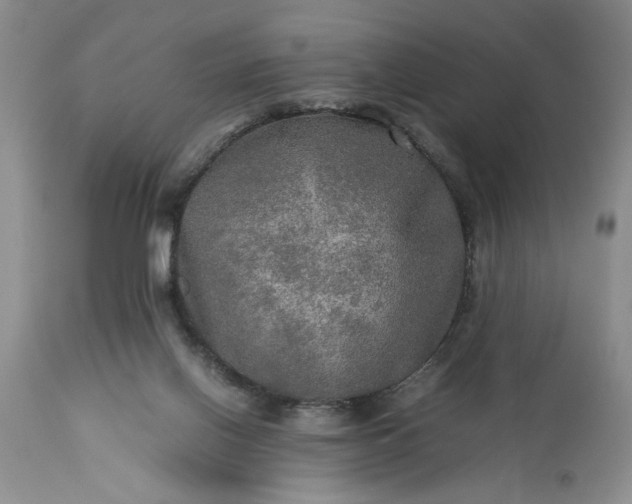 X0000113600070200910021750