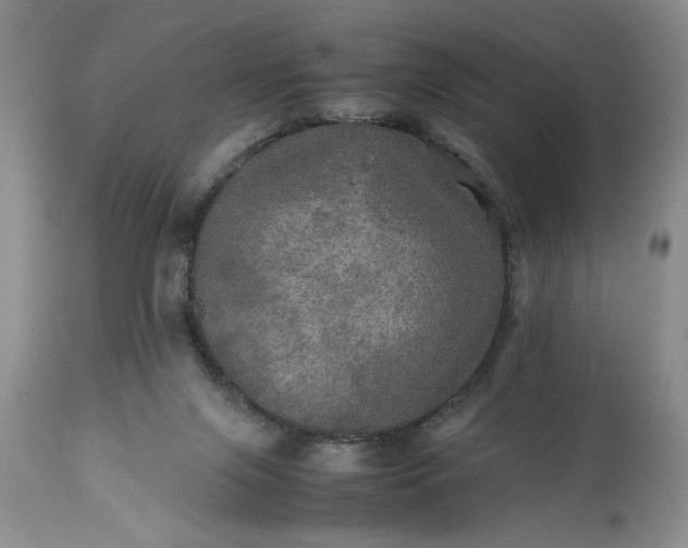 X0000113600071200910021750