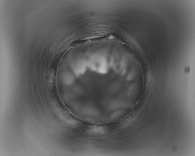 X0000113600073200910021750