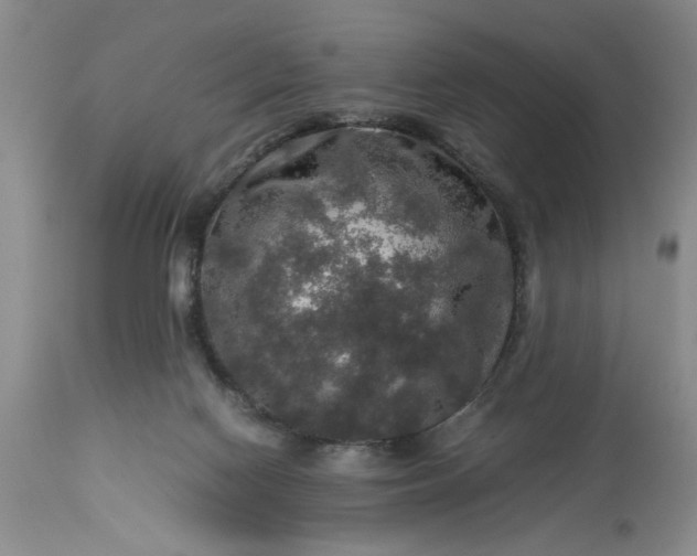 X0000113600074200910021750