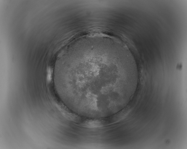 X0000113600075200910021750