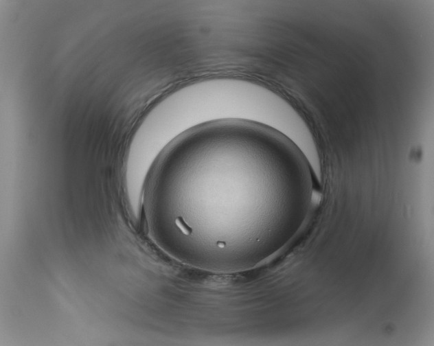 X0000113600076200910021750