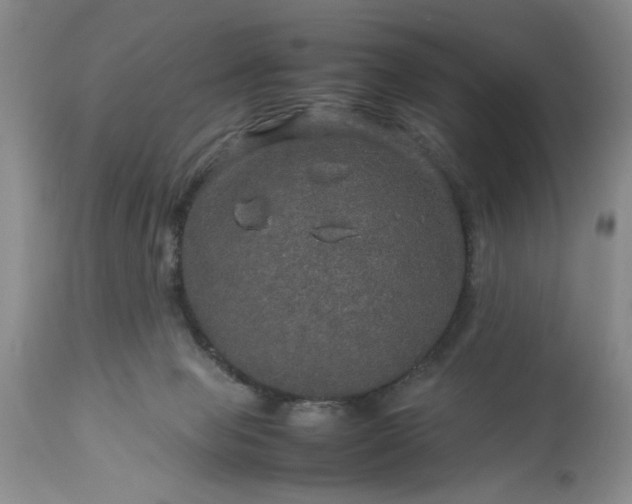 X0000113600077200910021750