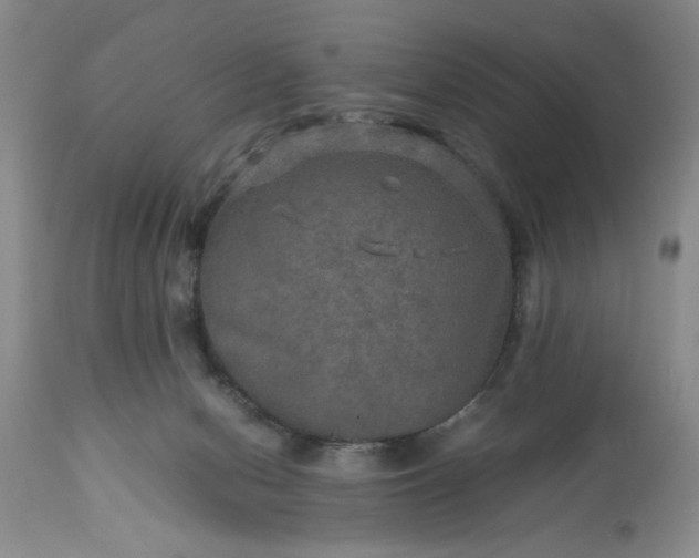 X0000113600078200910021751