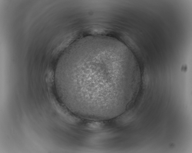 X0000113600079200910021751