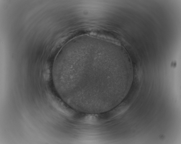 X0000113600080200910021751