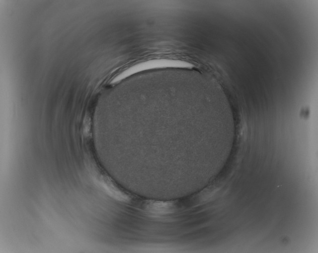 X0000113600081200910021751